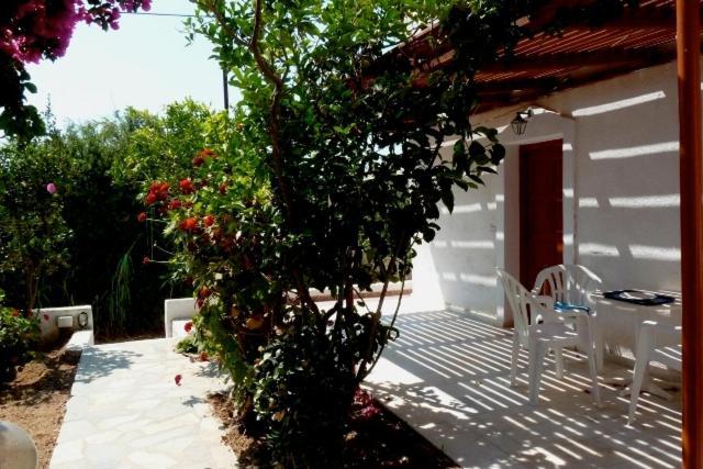 Sophi's L Studios&Apartments Agia Anna  Extérieur photo