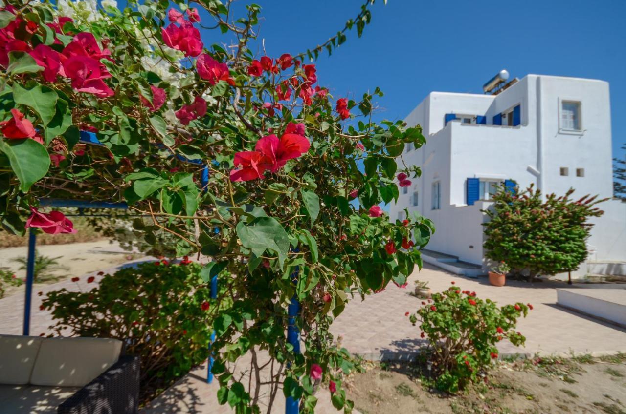 Sophi's L Studios&Apartments Agia Anna  Extérieur photo